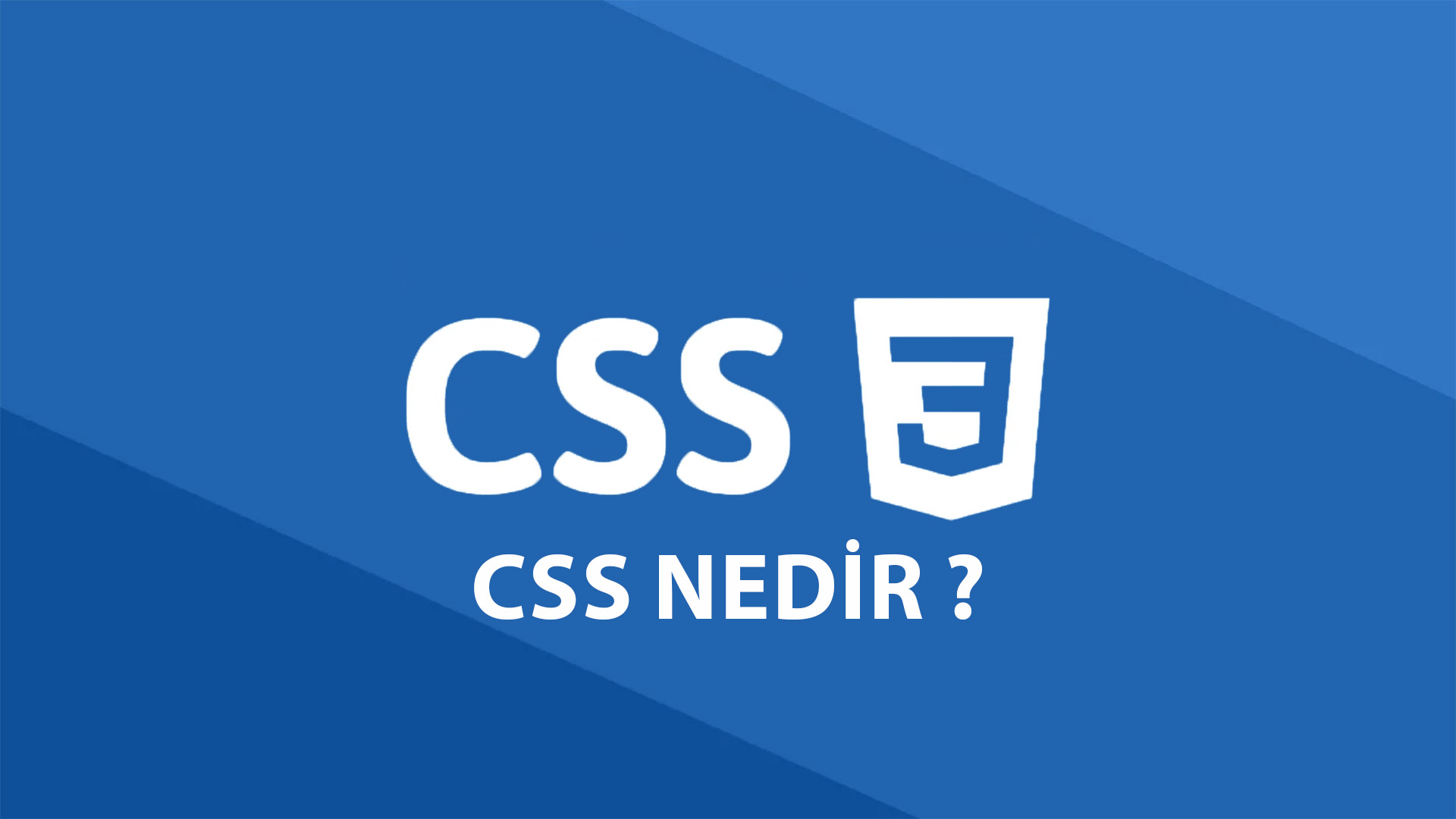 CSS Nedir ?